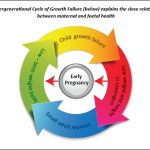 Breaking the Vicious Cycle of Intergenerational Undernutrition