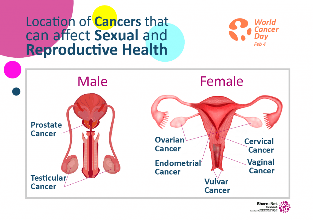 Cancers that can affect your Sexual and Reproductive Health
