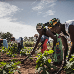 Handbook for Coordinating Gender-based Violence Interventions in Emergencies