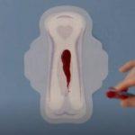 Menstrual blood ad complaints dismissed in Australia