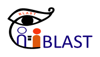 Bangladesh Legal Aid and Services Trust (BLAST)